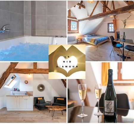Centre-Ville Le Nid D'Amour Jacuzzi Appartement Rouen Exteriér fotografie